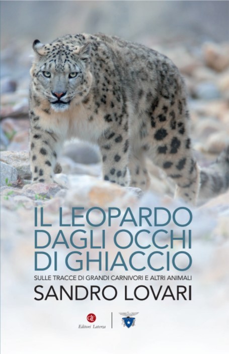 IL LEOPARDO DAGLI OCCHI DI GHIACCIO